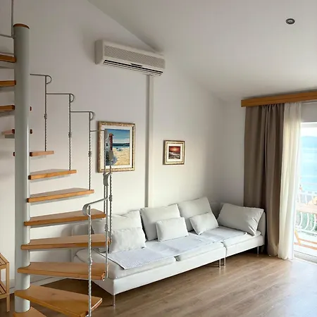 Apartmán Araucaria Gallery *